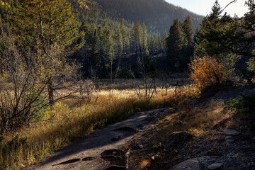Obraz premium Unterwegs zum Cub Lake im Rocky Mountains Nationalpark