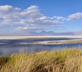 Salt lake in Atacama desert with white salt crust and blue water, Chile