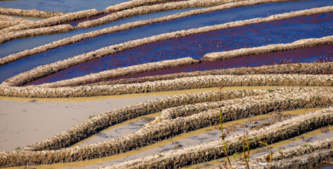 Rice terraces in Yuanyang County. Yunnan Province. China.