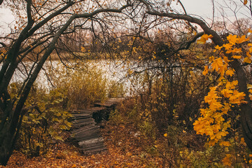 Golden autumn trees and pathway in fallen leaves near the river in sunset time