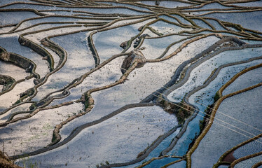 Rice terraces in Yuanyang County. Yunnan Province. China.