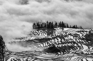 Rice terraces of Yunnan province amid the scenic morning fog. Yuanyang County. China.