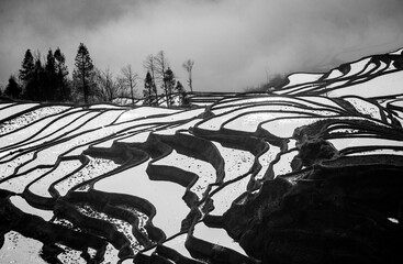 Rice terraces of Yunnan province amid the scenic morning fog. Yuanyang County. China.