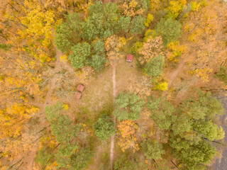 Aerial drone view. Autumn mixed forest. Yellow deciduous trees among green conifers.