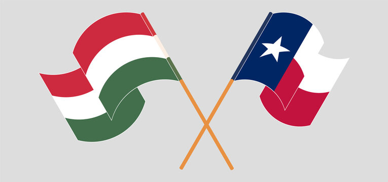 Crossed and waving flags of Hungary and the State of Texas