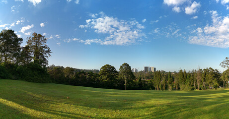 Fototapeta premium Beautiful panoramic view of a park with green grass and tall trees and deep blue sky with light clouds in the background, Heritage park, Castle Hill, Sydney, New South Wales, Australia 
