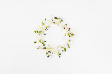 Micro greens sprouts on white marble background. superfood concept