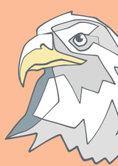 Hand drawn eagle head illustration