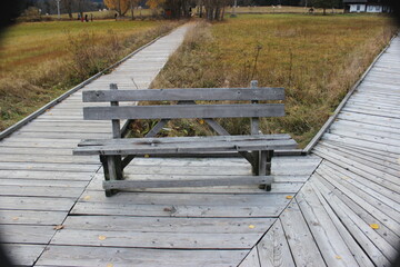 bench in the park