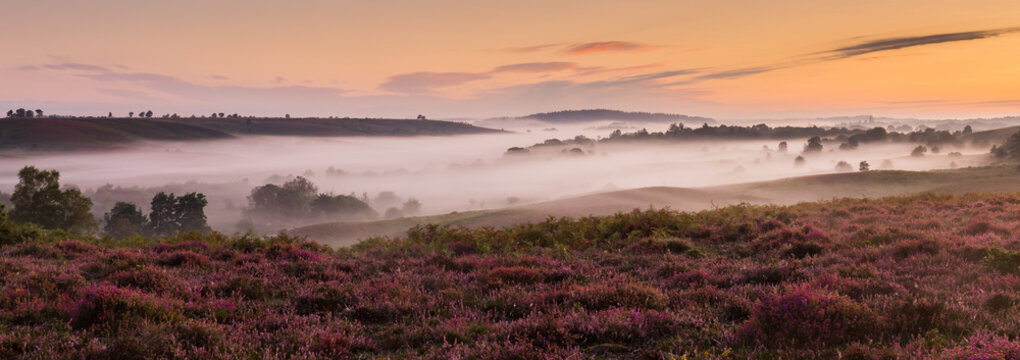 Panorama of Rockford Common in the New Forest at sunrise with mist