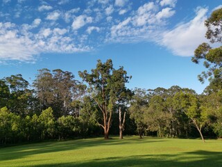 Beautiful view of a park with green grass and tall trees and deep blue sky with light clouds in the background, Heritage park, Castle Hill, Sydney, New South Wales, Australia
