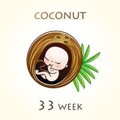 Stages of development of pregnancy, the size of the embryo for weeks. Human fetus inside the uterus. 33 week of 42 weeks of pregnancy. Vector illustrations coconut
