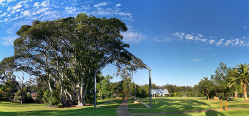 Beautiful panoramic view of a park with green grass and tall trees and deep blue sky with light...