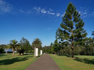 Beautiful view of a park with green grass and tall trees and deep blue sky with light clouds in the...