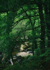 CHAOS DU GOUËT COTE D'ARMOR
