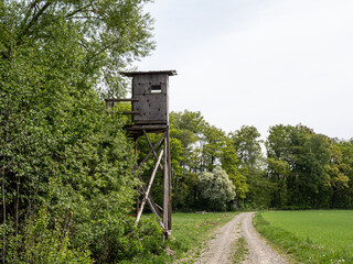 wooden hunter`s perch in the forest