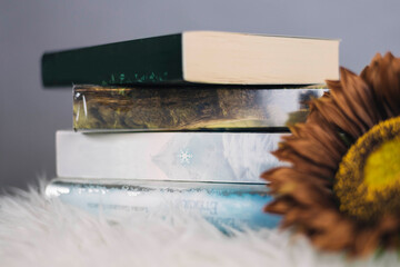 four books and a brown flower, white background