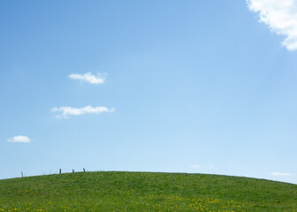 Green meadow with blue sky and small clouds