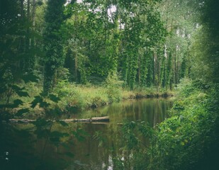 CHAOS DU GOUËT COTE D'ARMOR