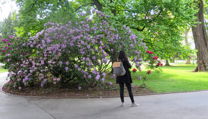 Frau steht im Park vor bl&uuml;henden B&uuml;schen mit Rosen