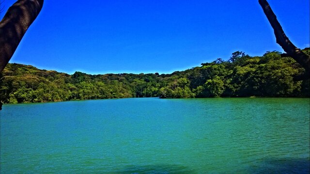 lake in the forest