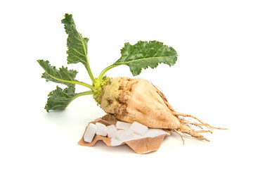 Freshly harvested sugar beet on isolated on white background