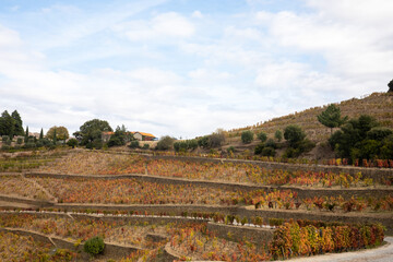 Autumn in Douro Valley, Portugal