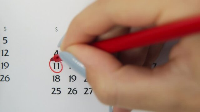 Female hand circle day in calendar date with a red marker. Business Basics Wall Calendar Planner and Organizer. October 11th
