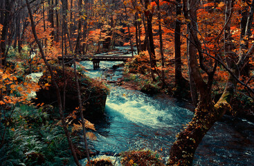 Mountain stream　torrent　Autumn leaves　fall colors