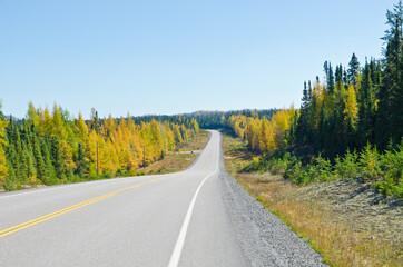Fototapeta na wymiar Trans Canada Highway