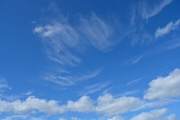 CIEL