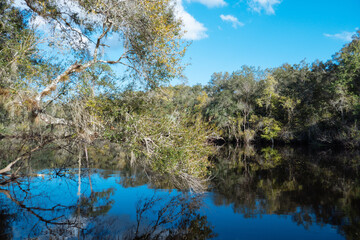 The landscape of New Tampa and Hillsborough river in Florida