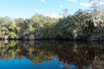 The landscape of New Tampa and Hillsborough river in Florida