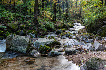 Jilin Jiaohe Red Leaf Valley Stream Landscape in October