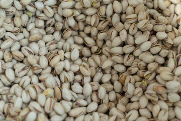 pistachios harvested with shells