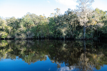 Fototapeta na wymiar The landscape of New Tampa and Hillsborough river in Florida