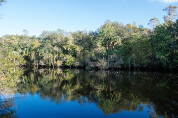Fototapeta na wymiar The landscape of New Tampa and Hillsborough river in Florida