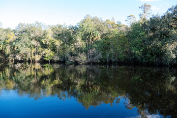 The landscape of Tampa Palms and Hillsborough river in Florida