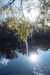 The landscape of Tampa Palms and Hillsborough river in Florida