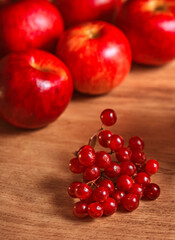 Fresh red viburnum berries delicious red apples on a wooden table