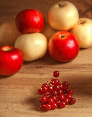 Fresh red viburnum berries red yellow apples on the background of a wooden table