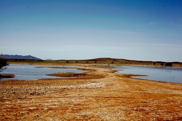 Lac vide et les dromadaires .