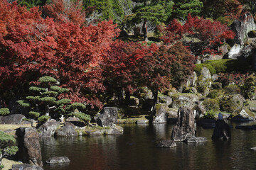 Fototapeta na wymiar 耶馬渓の溪石園の秋風景