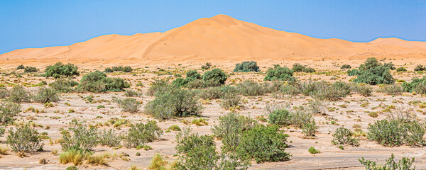 Mergouza, morocco, landscape of the desert