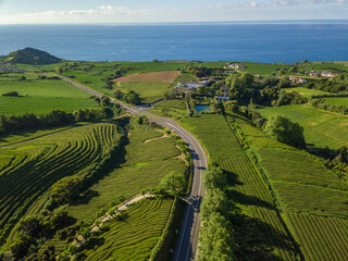 Aerial top view landscape over Tea Plantation of Gorreana (Chá Gorreana). Street path background....