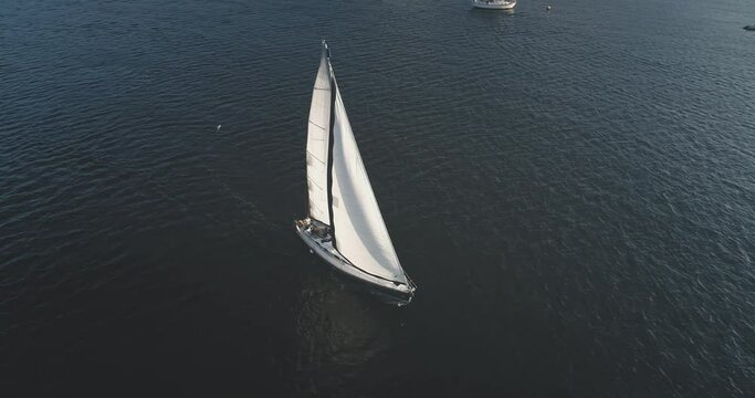 Yacht regatta race at ocean bay with seagull flying aerial. Sun reflect at Brodick Gulf, Scotland, Europe. Sail boat at open sea. Sailboat at summer cruise. Luxury vacation at marine