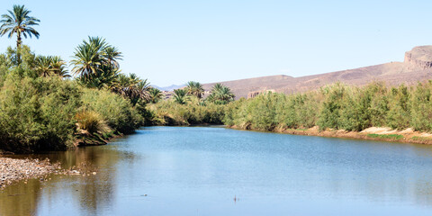 Agdz, Morocco, oase, palm tree, oase,