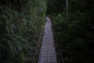Fototapeta premium 山道