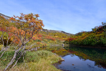 秋の大雪高原沼（北海道・大雪山）
