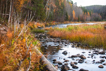Autumn view of Oulanka National Park, landscape, a finnish national park in the Northern Ostrobothnia and Lapland regions of Finland,  wooden wilderness hut, cabin cottage, bridge, campground place